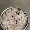 개나리공원 앞 이미지