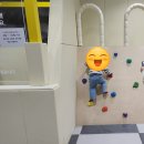 영월동굴생태관 | 영월여행 가볼만한 곳 영월 동굴 생태관 아이와함께 방문후기, 입장료