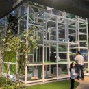 아이플러스 | 동탄 네이처스케이프 플러스 후기｜아이와 가볼만한 실내 체험 테마파크