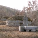 선세 이미지