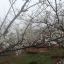 민기농장 이미지