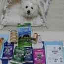 (주)산시아코리아 이미지