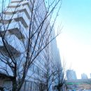 남성맨션아파트 이미지