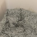 (주)부흥산업사 | 무기 미네랄로 만든 고양이 모래 탈취제 "캐치멜"