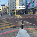 네일드엘라