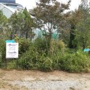 고려대학교어린이집 이미지