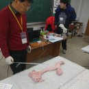 김천가축인공수정소 이미지