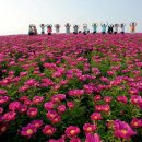 산 태권도장 이미지