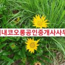 돌곶이로40길 이미지