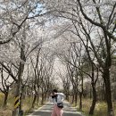 마레모어 이미지