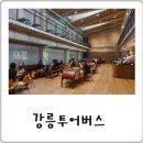 대굴령민들레동산 | 강릉 뚜벅이여행 주목! 시티투어버스 웰니스관광 1코스 본전뽑기
