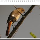 당골농장 이미지