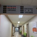 고양시덕양구보건소 | 고양시 산전검사 후기 , 덕양구 보건소 산전검사 준비물