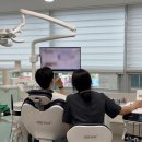 닥터마인즈