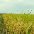 수빈농장 이미지