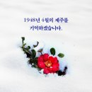 이니스프리서면로데오 - 부산진구 전포대로199번길 12 | [23/04/01-09] 조금씩 차근차근