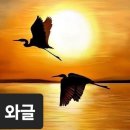 에미가 된다는 것 / 정상화 이미지