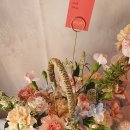 두루약품(주) 이미지