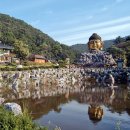 와우정사 이미지