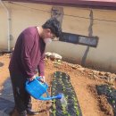 다이어트댄스(주간) 이미지