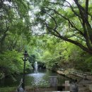 삼풍베이커리 이미지