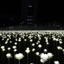 패션과 디자인(야간) 이미지