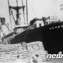 메러디스빅토리 이미지