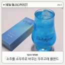 AstroWhale 네이버블로그
