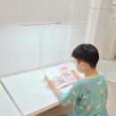 스터디아이공부방 - 성주군 성주읍4길 14 | 아이스터디 70cm 프로 와이드 스탠드 후기 | 눈이 편안한 공부스탠드로 집중력 높이기