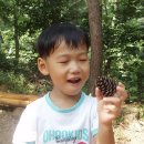 숲소리어린이집 이미지