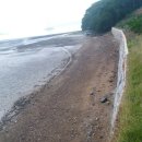 대한법률행정사합동사무소 이미지