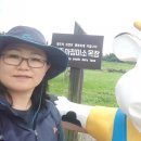 자연의미소민박 이미지