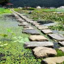 상리공원 이미지