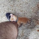 김해동치과의원 | [동성로 맛집] 동성로 와인바 없다고 누가 그래!! ‘배디스트 라운지’ 가격, 위치, 리뷰(후기)