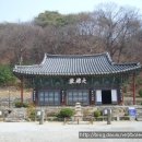 대명주 이미지