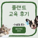 (주)국제플랜트 | [건설산업교육원 플랜트교육(화공, 환경)] 7-8주차 후기