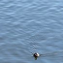 지곡천 산책로 이미지