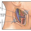 성품교육관 유신태권도장 이미지