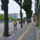 대학종로약국 이미지