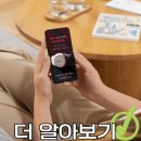 골든타임375