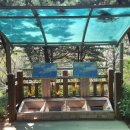 감골공원길 이미지