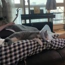 송이 노래연습장 이미지