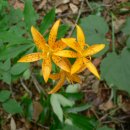 (유)우리주유소 이미지