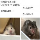 레몬비 모현점 | 2024年8月일상: 무더운 여름과 친해지기