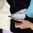 꼬끼용