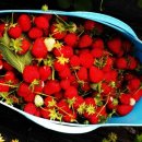 들길농장 이미지