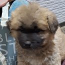 산골짜기 이미지