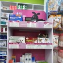 충남약국 이미지