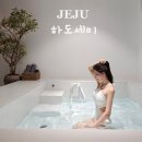 제주도여행 자쿠지숙소 하도세미 B동 애견동반가능 실내사우나 유채꽃
