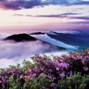 문화공원_하 이미지